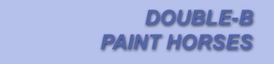 Double-B Paint Horses