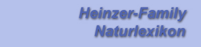 Natur-Lexikon (Tierlexikon, Blumenlexikon, Berglexikon)