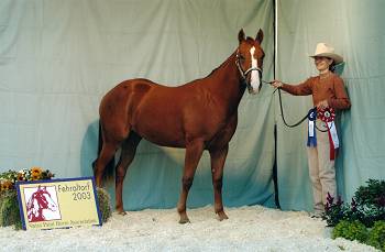 Futurity Fehraltorf 2003