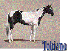 Tobiano
