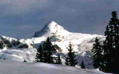 PFANSTO.jpg (7657 Byte)